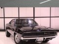 Muscle