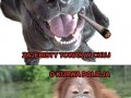 Zjarani