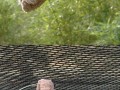 Awwwww