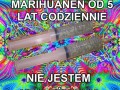 Marihuanen