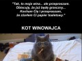 Pies i kot