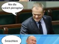 Sankcje