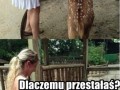 Dalej