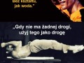 Bruce lee