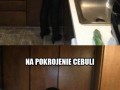 Cebula