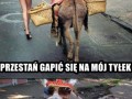 Przestań