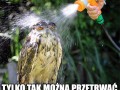 Opanowanie