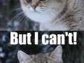 I can39t