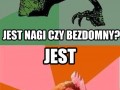 Problem rozwiązany