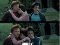 Harry