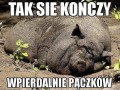 Pomyśl o tym