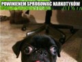 Dobry towar