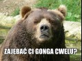 No dawaj