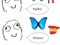Motyl
