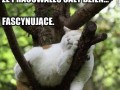 Fascynujące