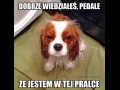 Wiedziałeś
