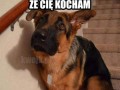 Kasztan