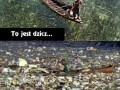 Taki świat