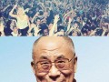 Yolo