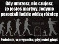 Po śmierci