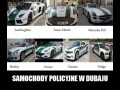 Policja w dubaju