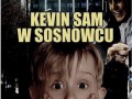 Kevin