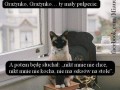 Grażynko