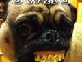 Swag 2
