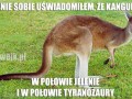 Mózg w kawałkach