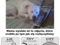 Cry a lot