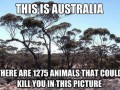 Witamy w australii