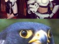 Wut xd