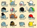 Whale