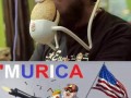 Murica
