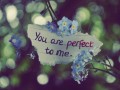 Perfect