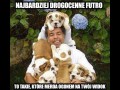 Futro