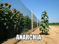 Anarchia