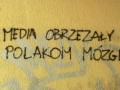 Prawda o mediach