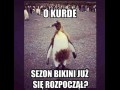 Sezon