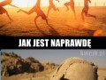 Oczekiwania a rzeczywistość
