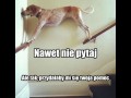 Nawet nie pytaj