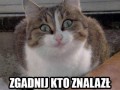 Zgadnij