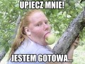 Do dzieła