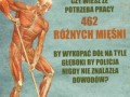 Fakty o mięśniach