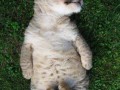 Cute 2