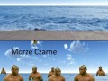 Morze czarne