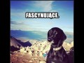 Fajnie