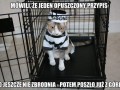 Od tego się zaczyna