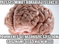 Znam to
