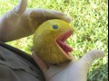 Pacman
